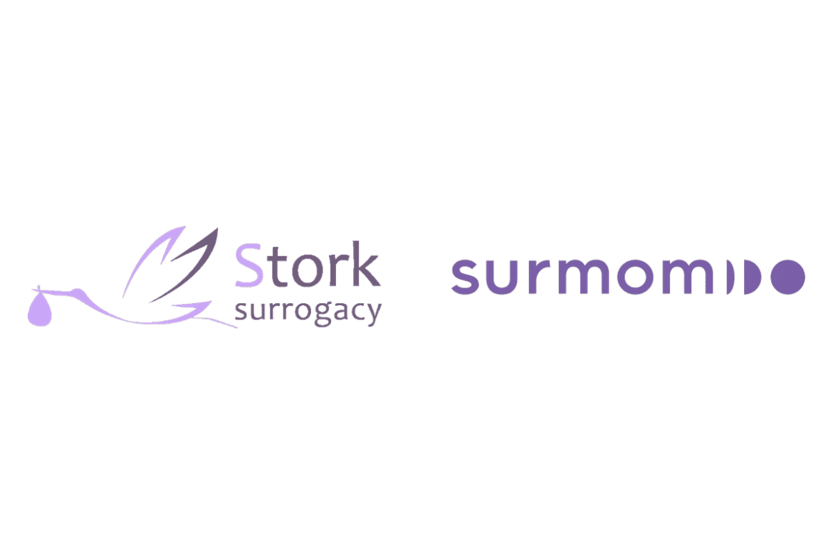 dz2x-storksurmom